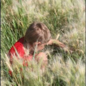 Meet your Posher, Bobbie